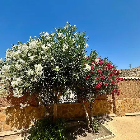 El Pomelo Holiday home Zurgena